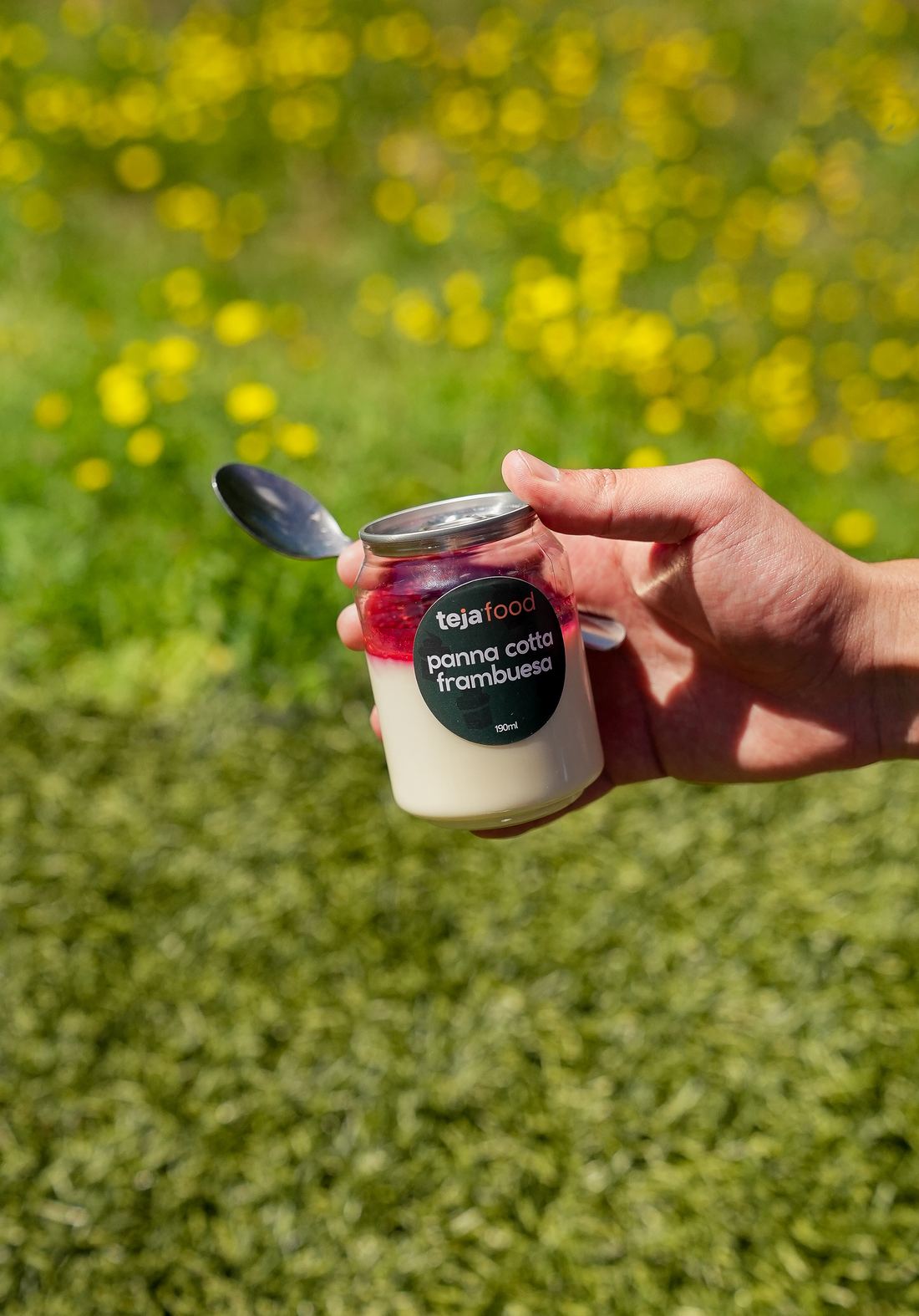Panna cotta de frambuesa